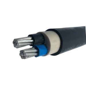 کابل آلومینیوم ۳۵*۲ سیمیا/XLPE/PVC